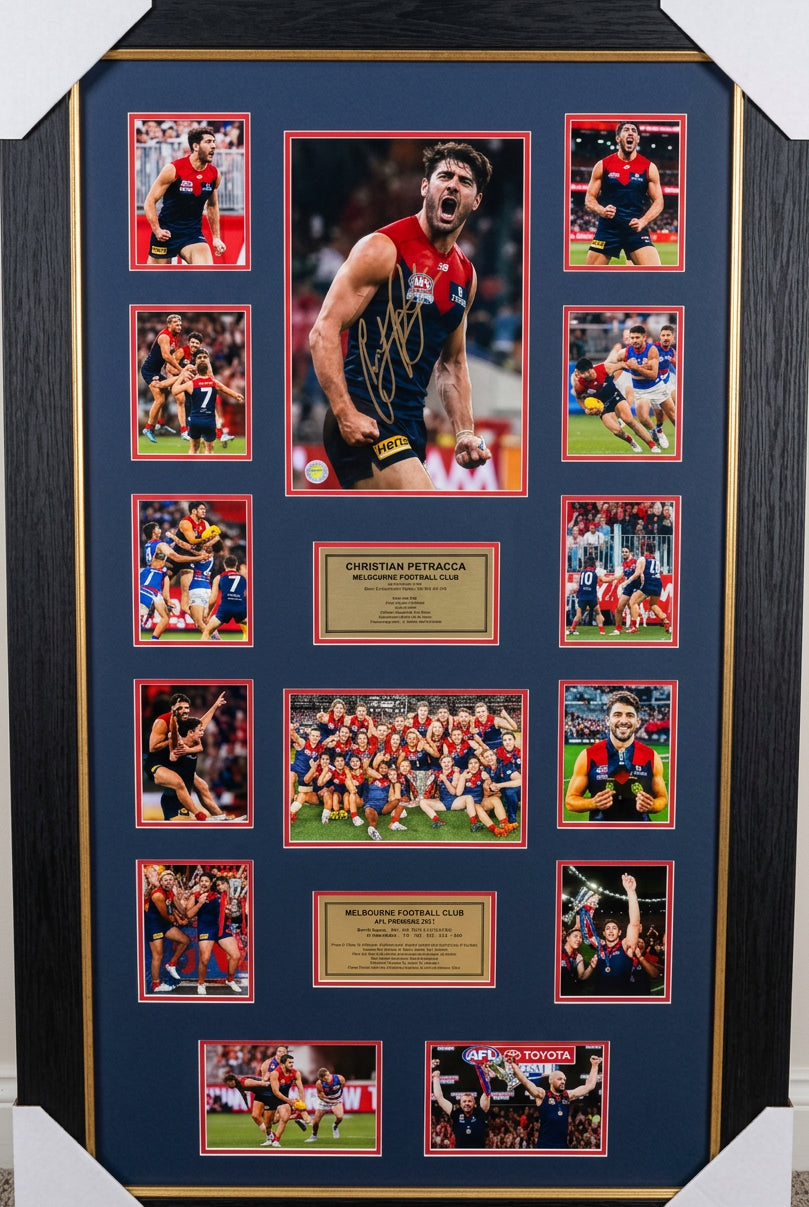 DEMONDS CHRISTIAN PETRACCA  Signed photo Collage