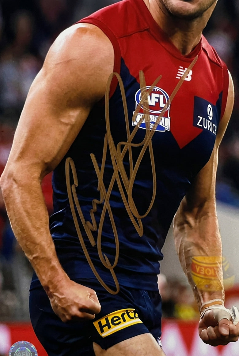 DEMONDS CHRISTIAN PETRACCA  Signed photo Collage