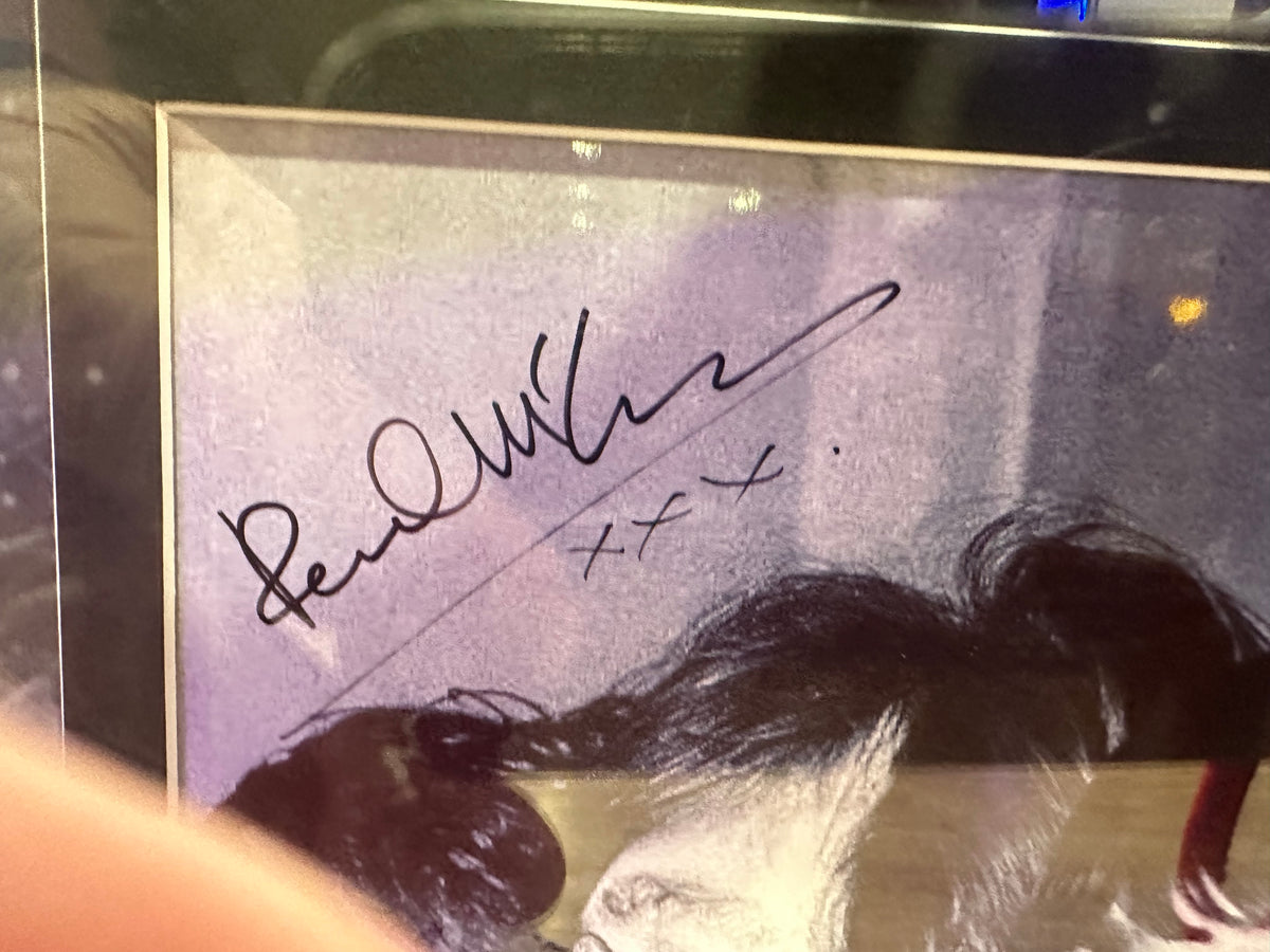 The Beatles Full Band Signed with Guitar and Photo Collage.
