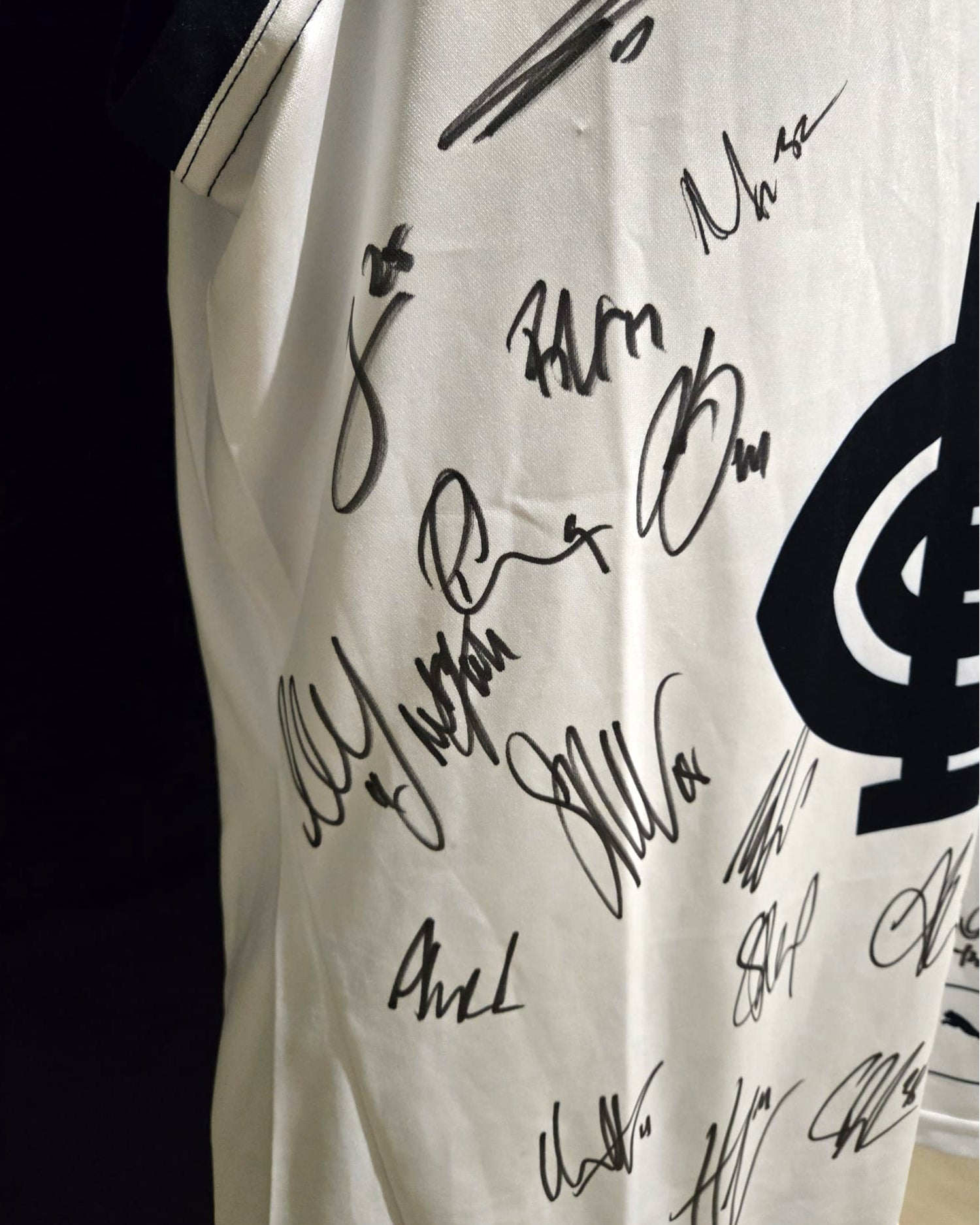 Carlton Signed AFL Jersey