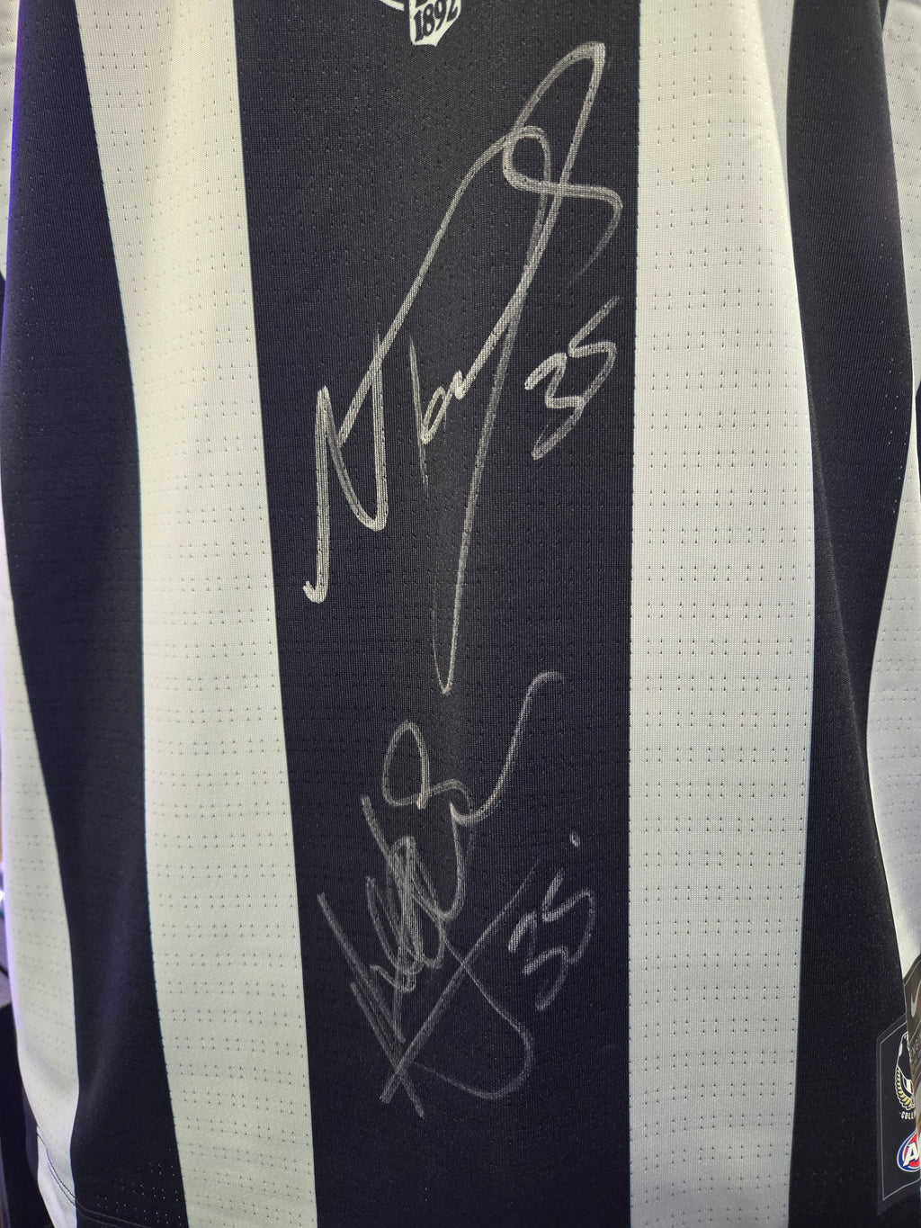 Nick and Peter DAICOS #35
