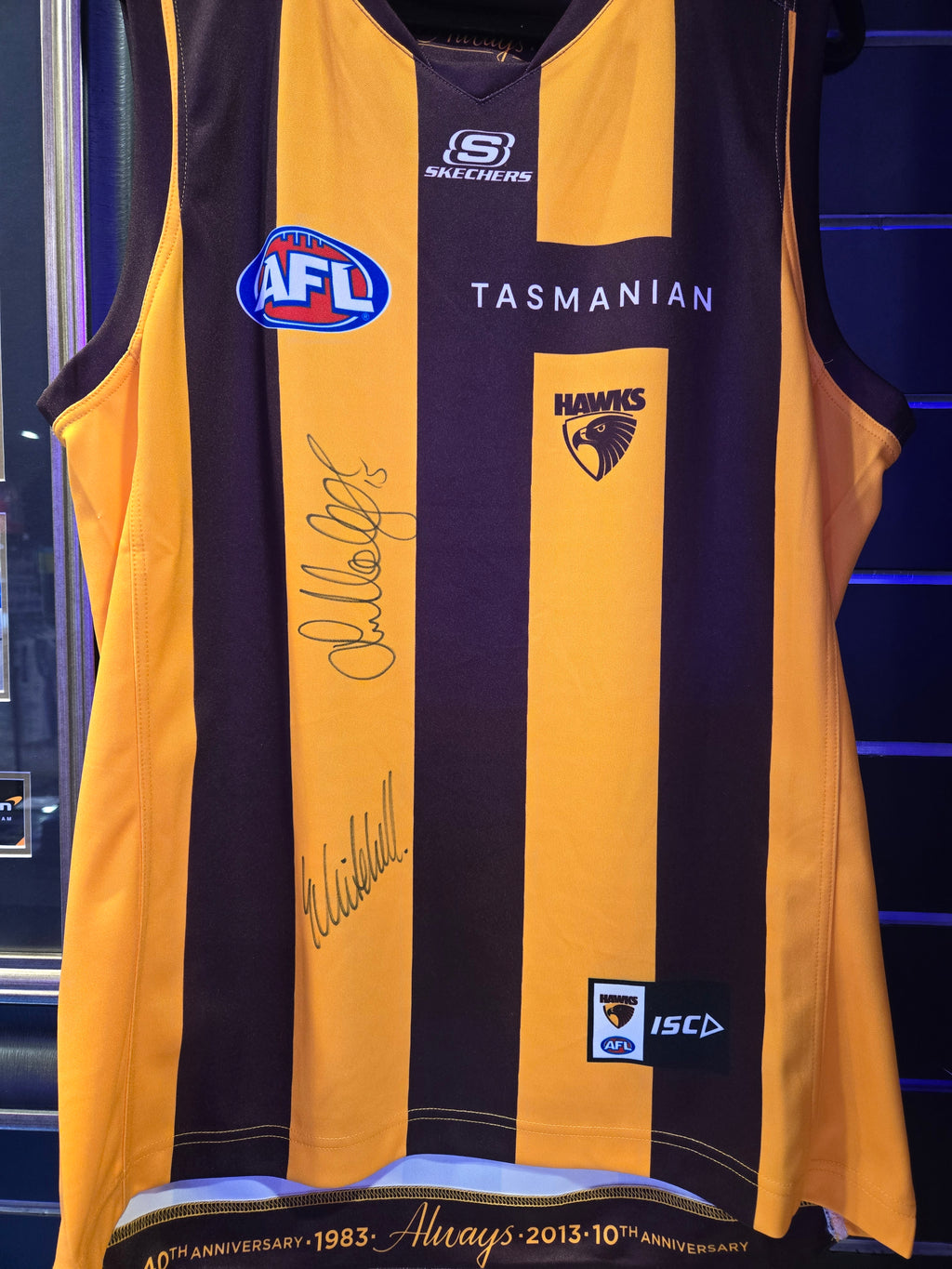 Luke Hodge and Same Mitchell HAWTHORN