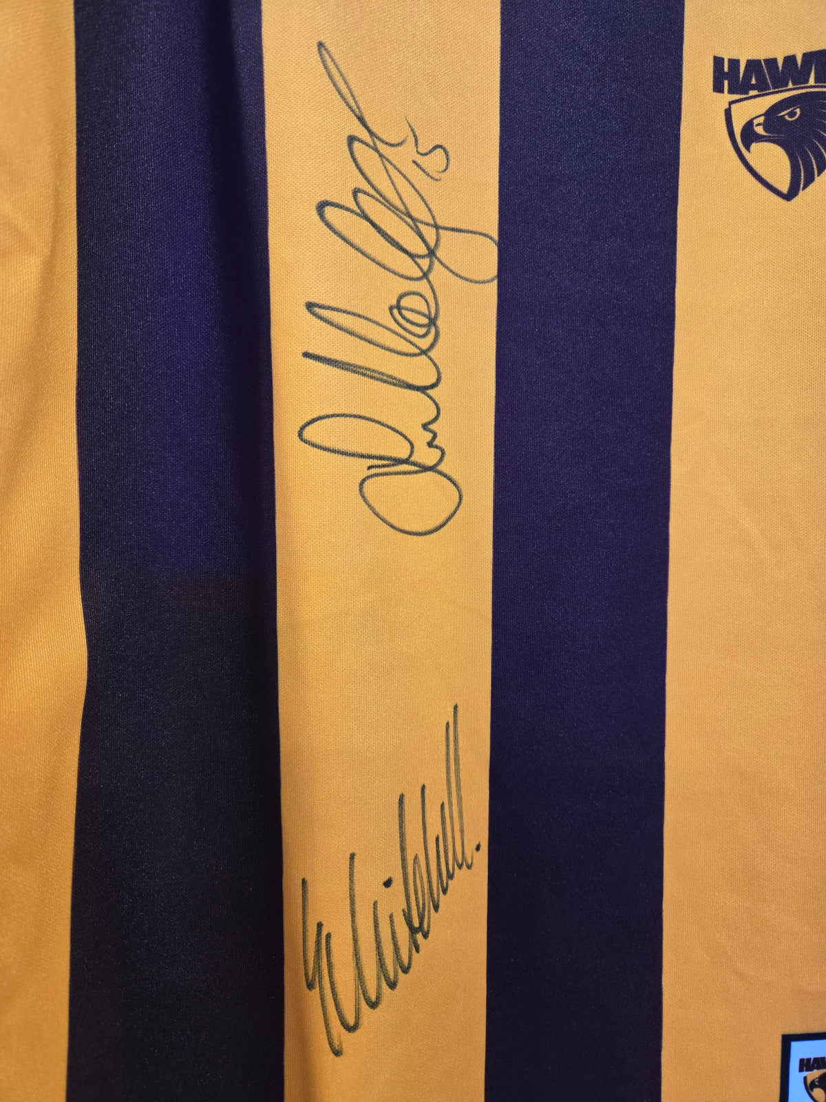Luke Hodge and Same Mitchell HAWTHORN